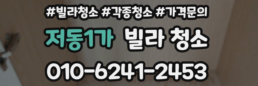 저동1가 빌라 청소