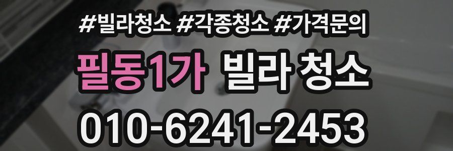 필동1가 빌라 청소