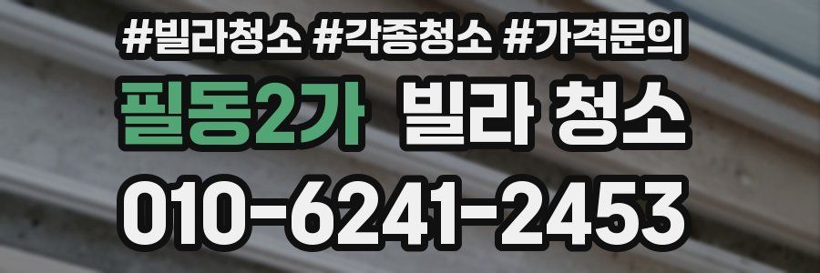 필동2가 빌라 청소