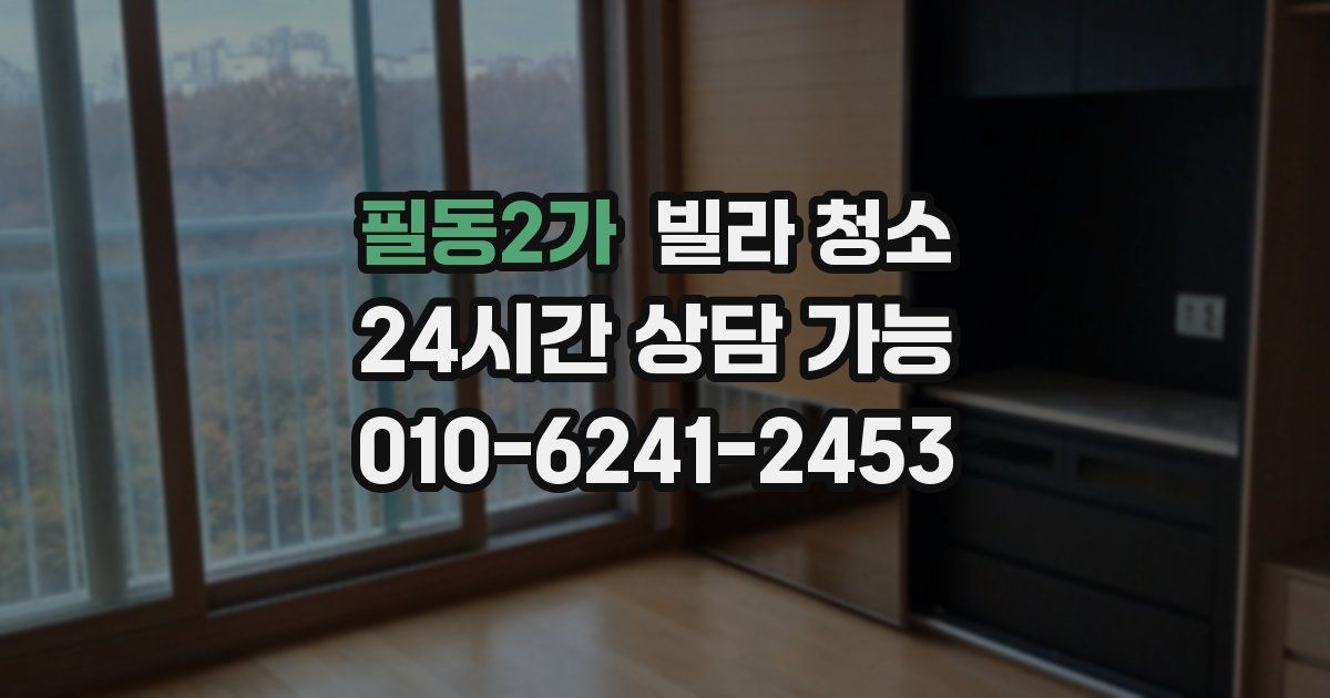 필동2가 빌라 청소