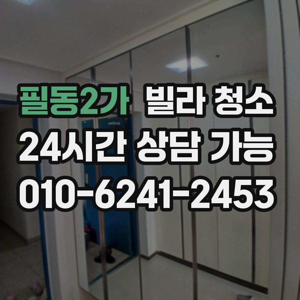 필동2가 빌라 청소