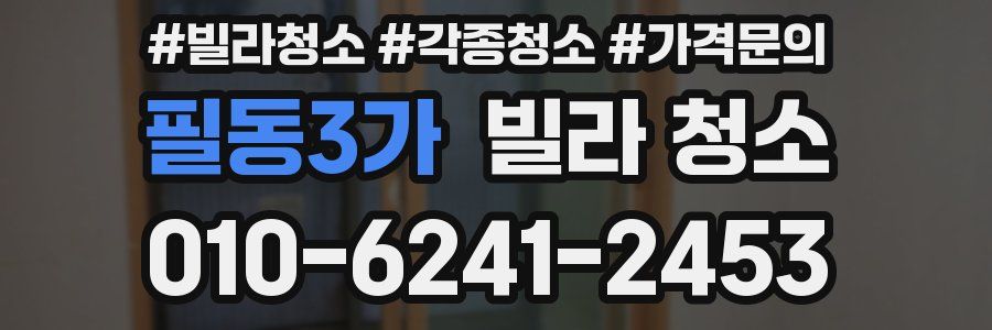 필동3가 빌라 청소