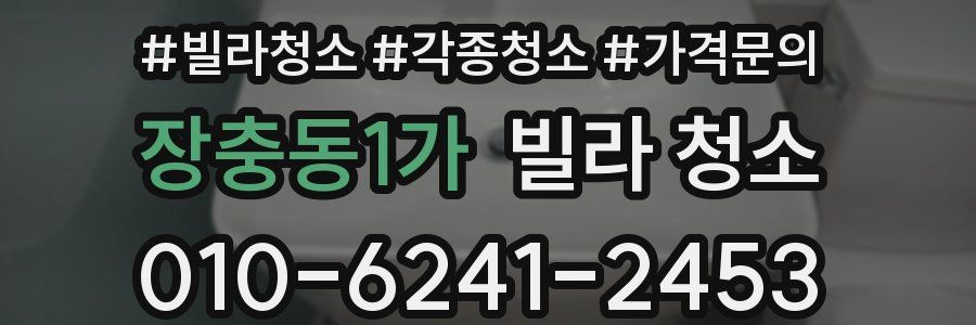 장충동1가 빌라 청소