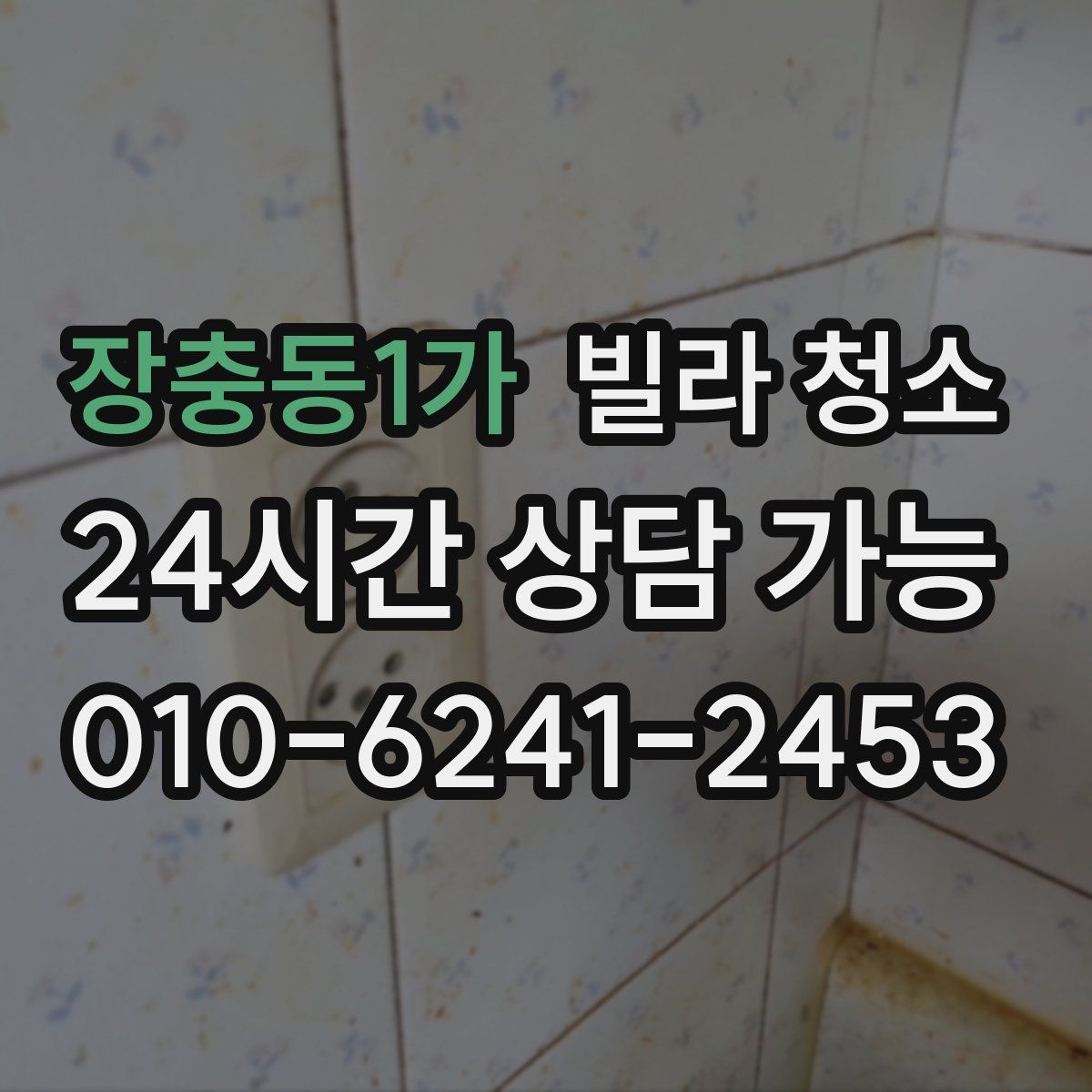 장충동1가 빌라 청소