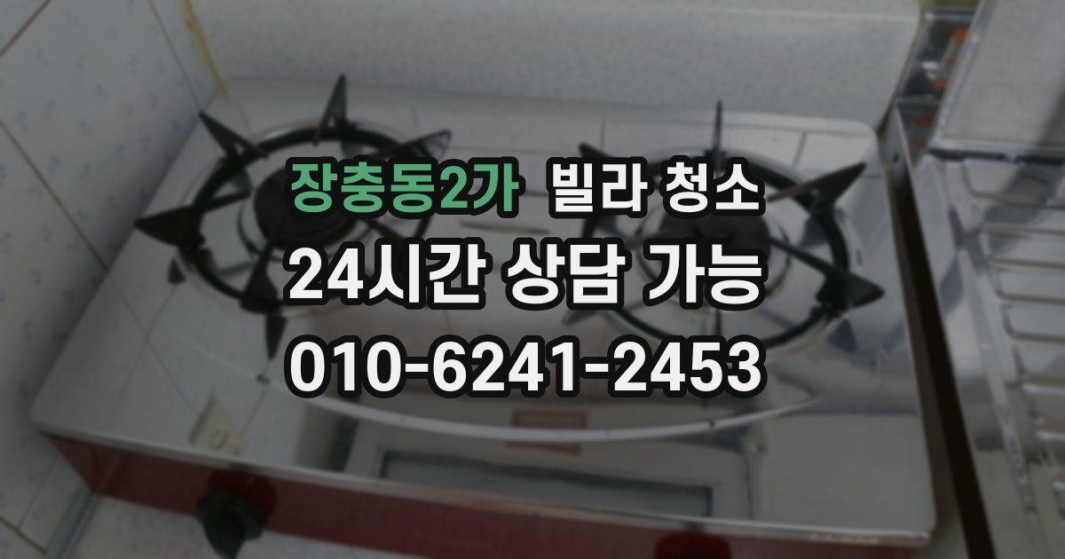 장충동2가 빌라 청소