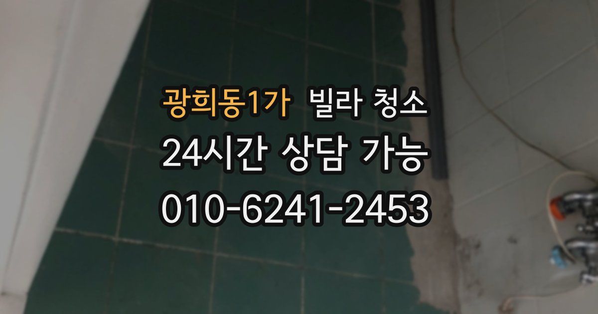 광희동1가 빌라 청소