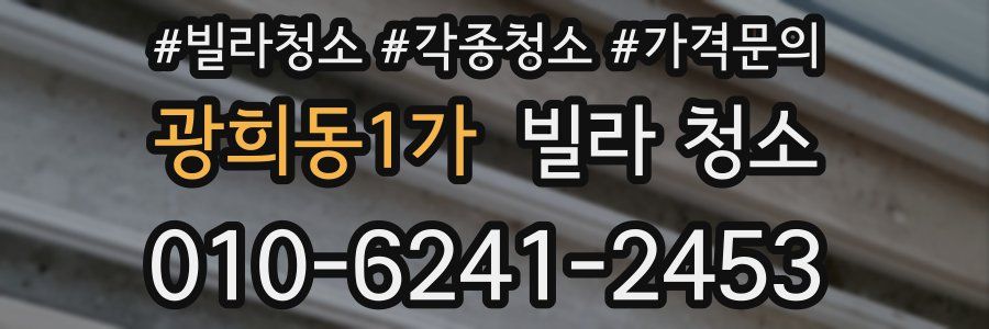 광희동1가 빌라 청소