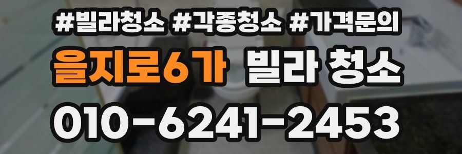 을지로6가 빌라 청소