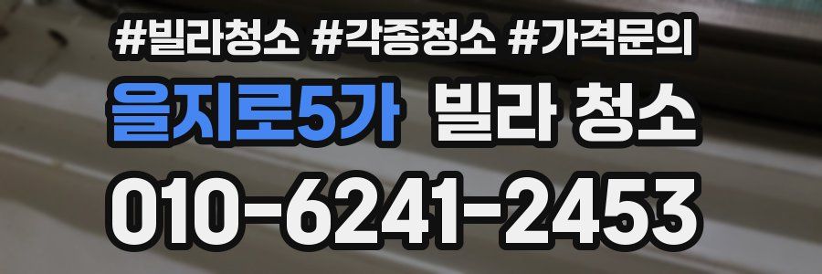 을지로5가 빌라 청소