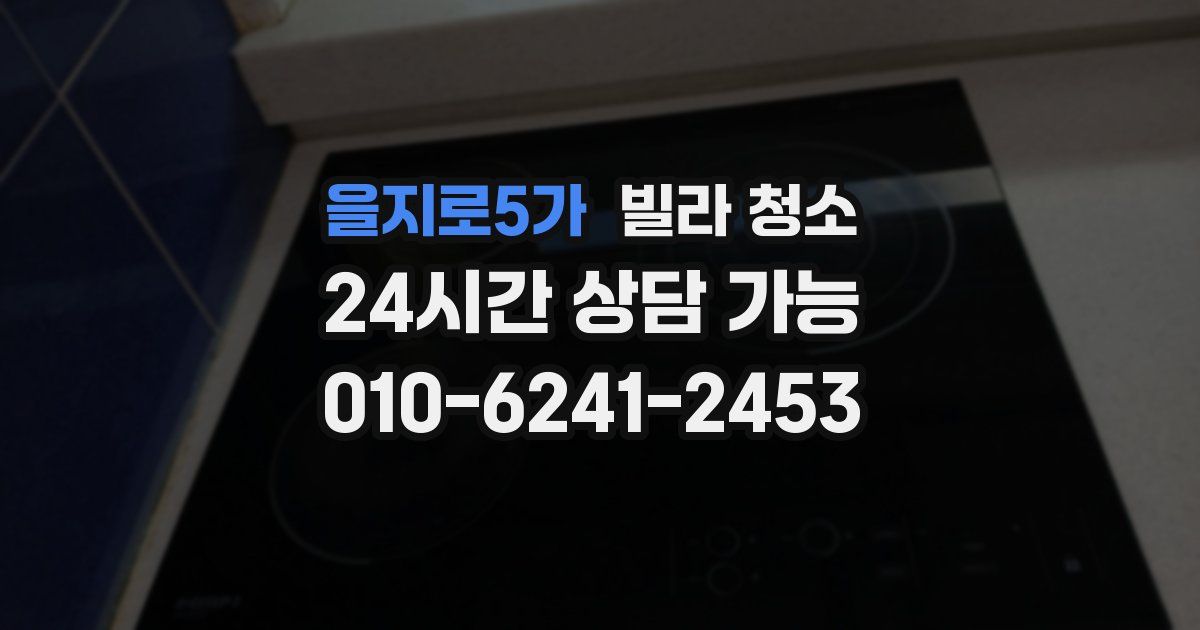 을지로5가 빌라 청소