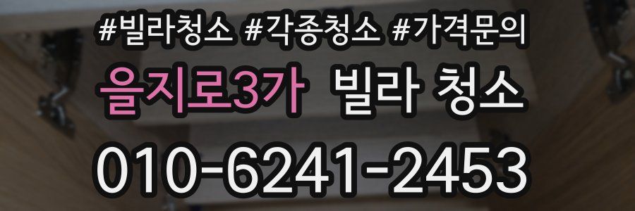 을지로3가 빌라 청소