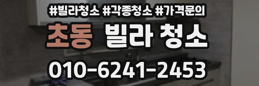 초동 빌라 청소