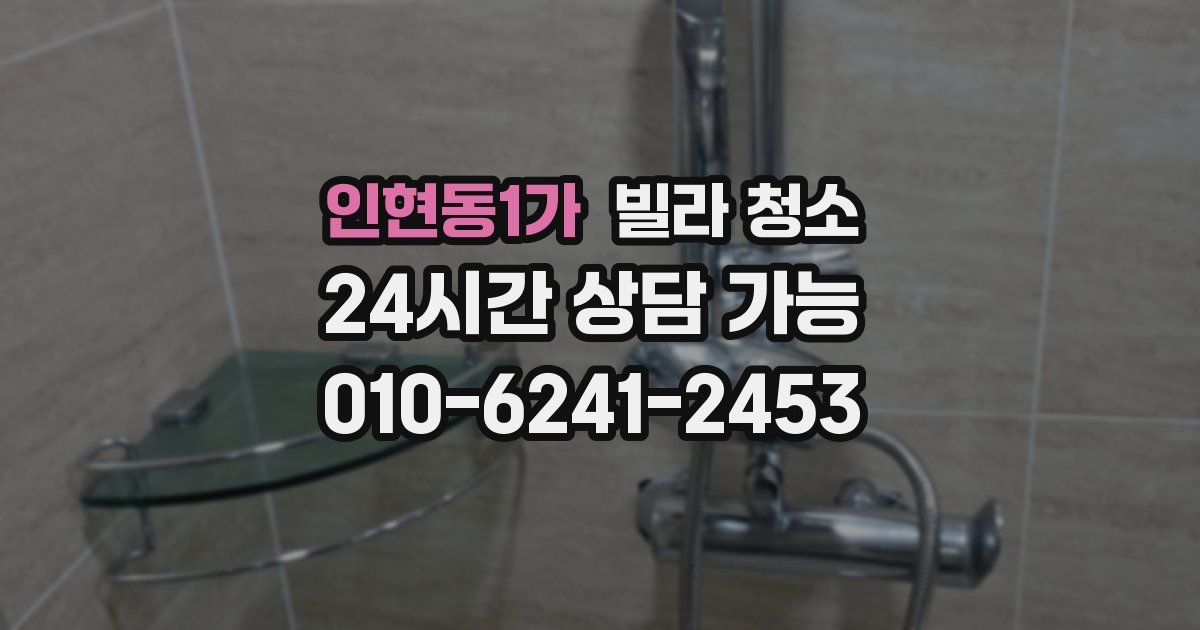 인현동1가 빌라 청소