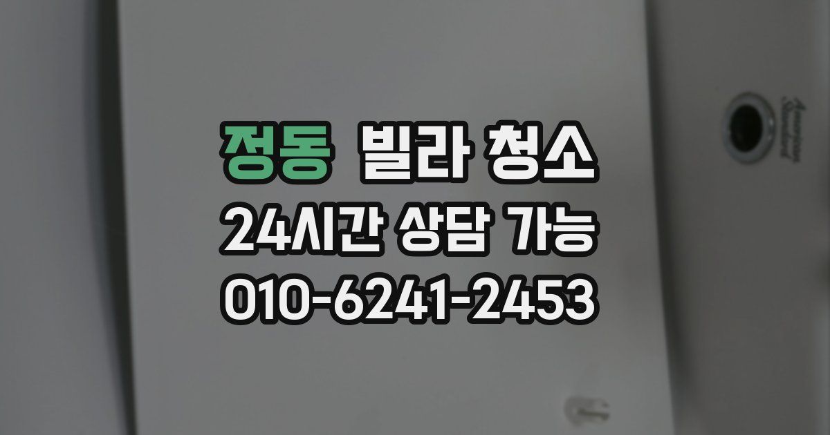 정동 빌라 청소