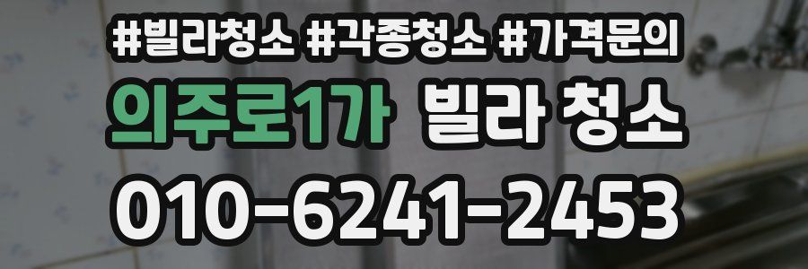 의주로1가 빌라 청소