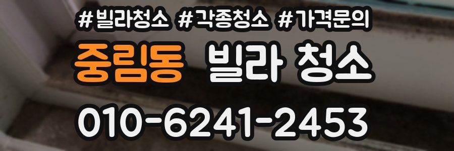 중림동 빌라 청소