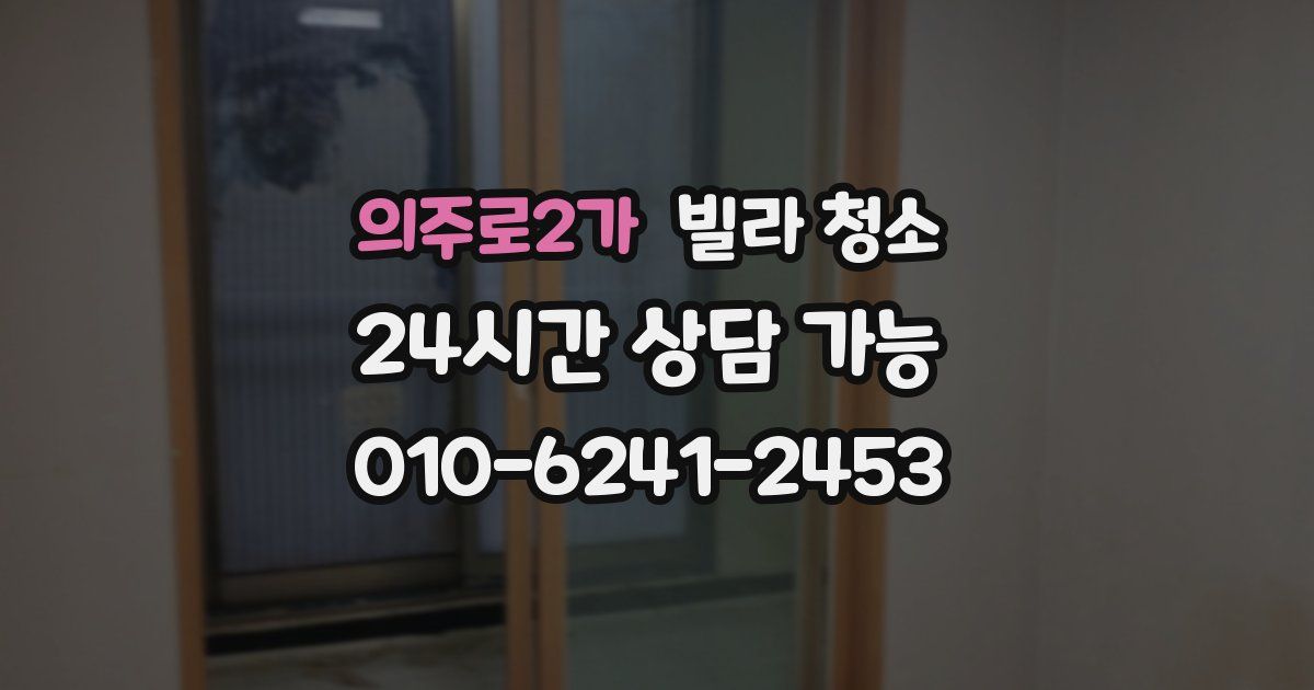 의주로2가 빌라 청소