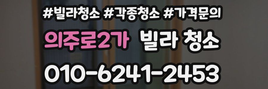 의주로2가 빌라 청소