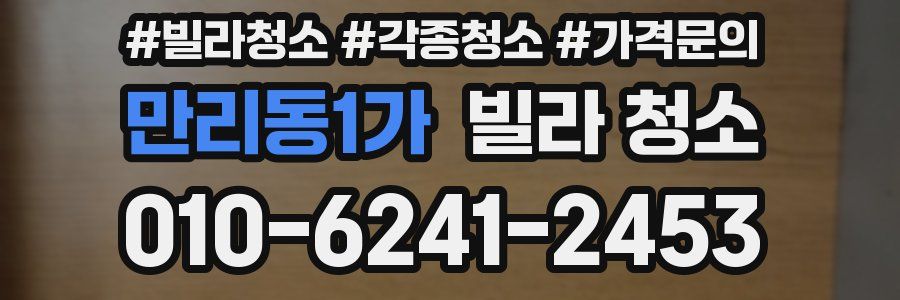 만리동1가 빌라 청소