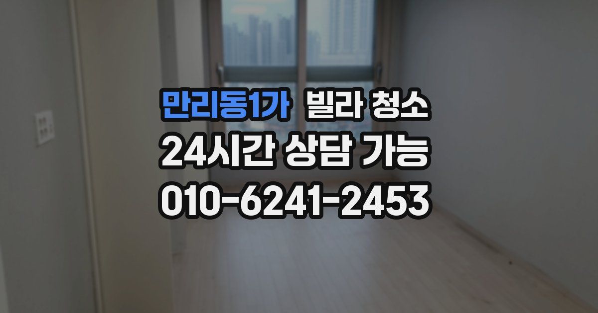 만리동1가 빌라 청소