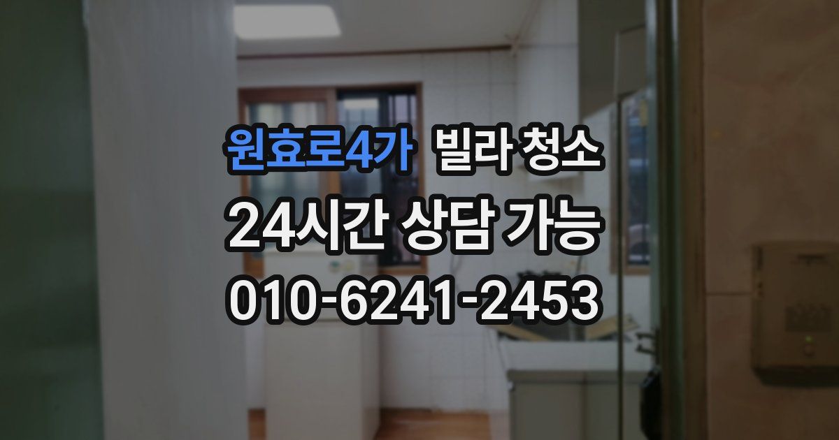 원효로4가 빌라 청소