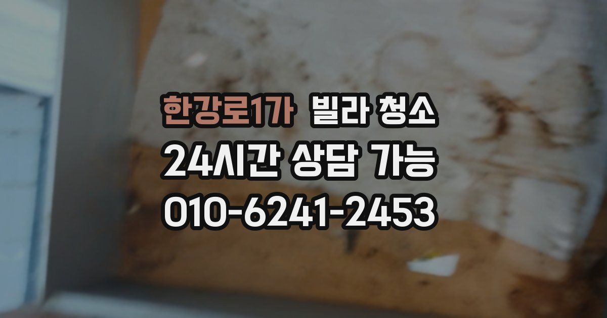 한강로1가 빌라 청소
