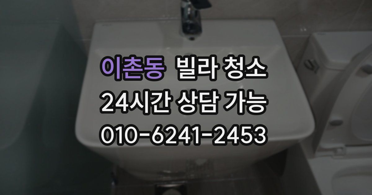 이촌동 빌라 청소