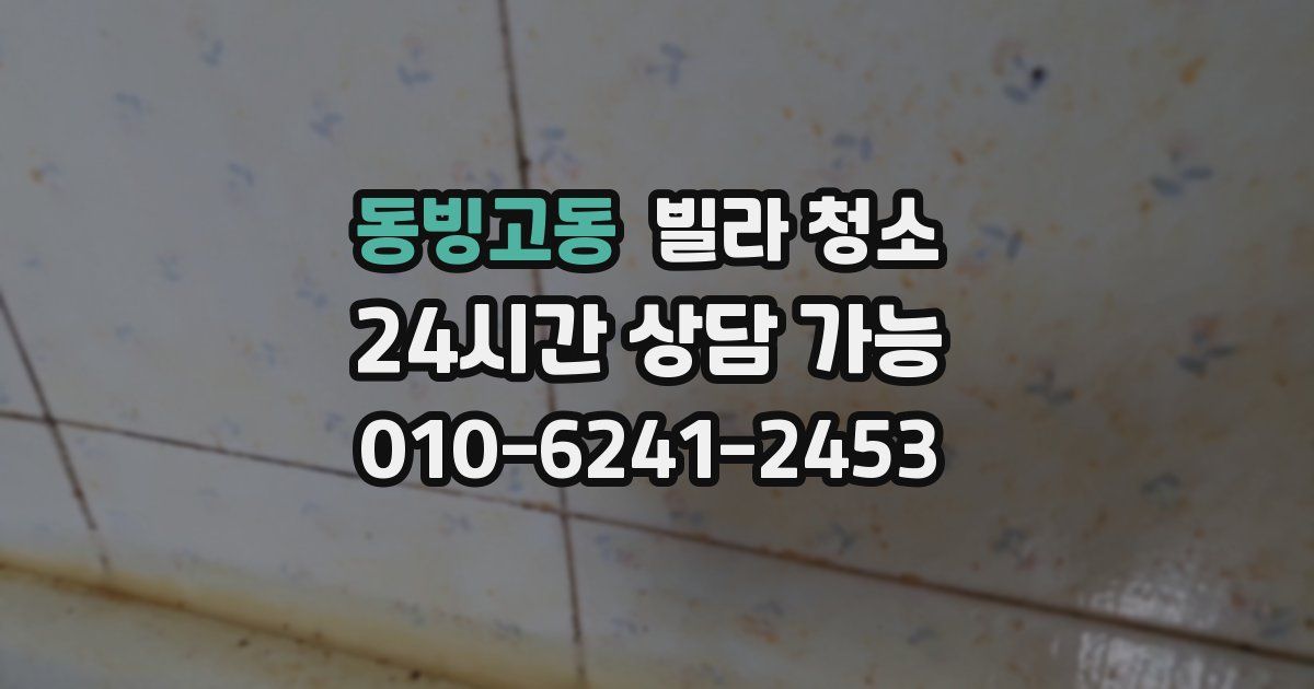 동빙고동 빌라 청소