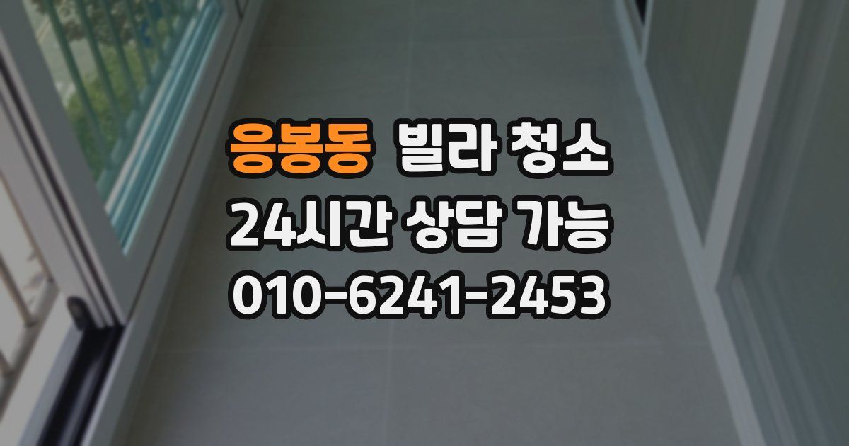 응봉동 빌라 청소