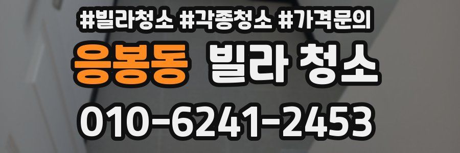 응봉동 빌라 청소