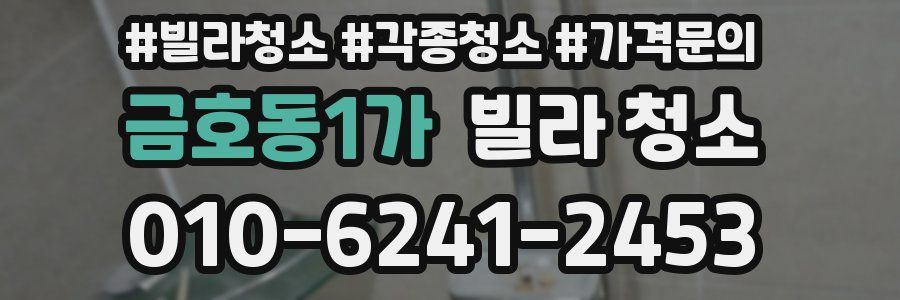 금호동1가 빌라 청소