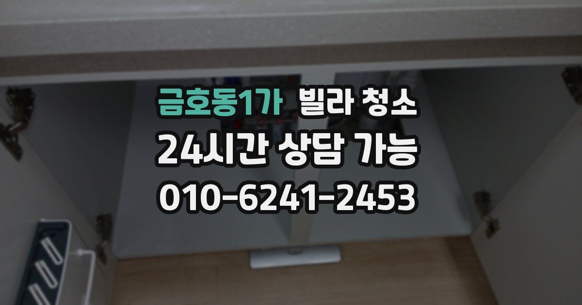 금호동1가 빌라 청소