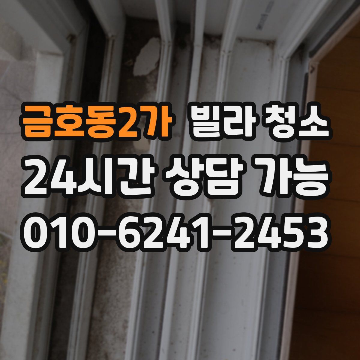 금호동2가 빌라 청소