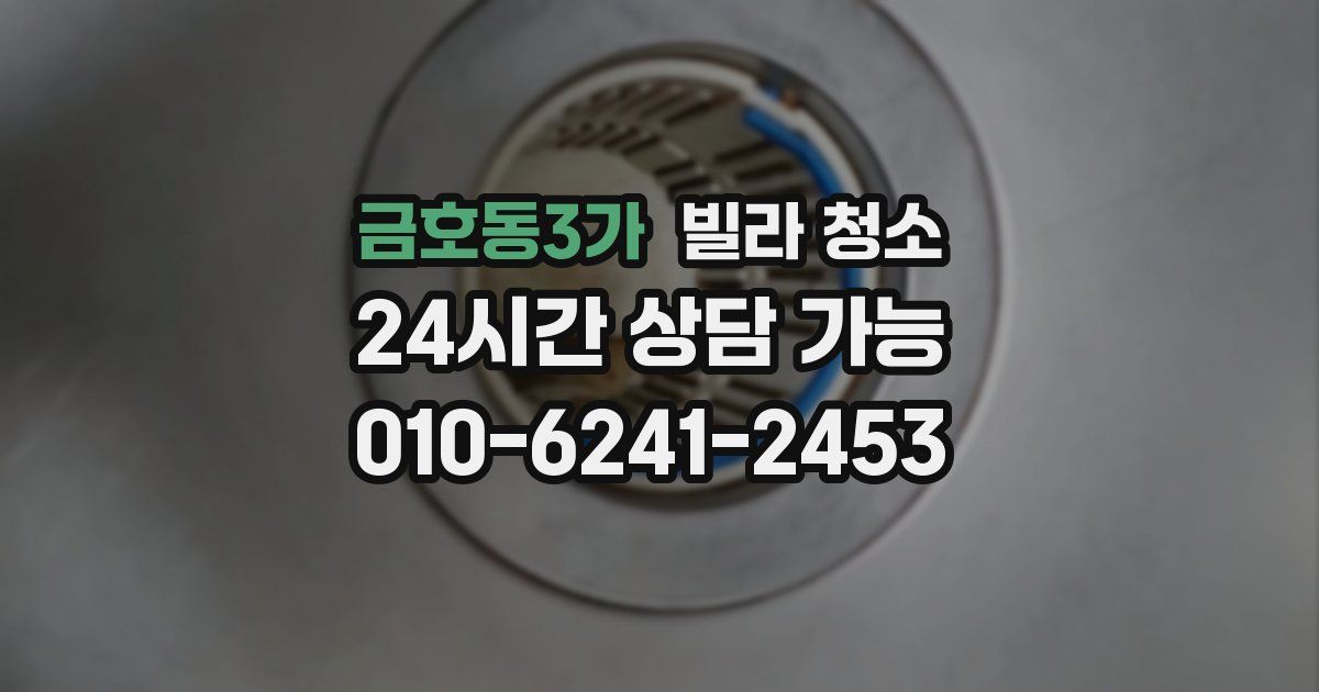 금호동3가 빌라 청소