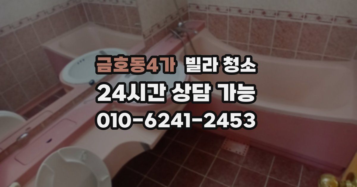 금호동4가 빌라 청소