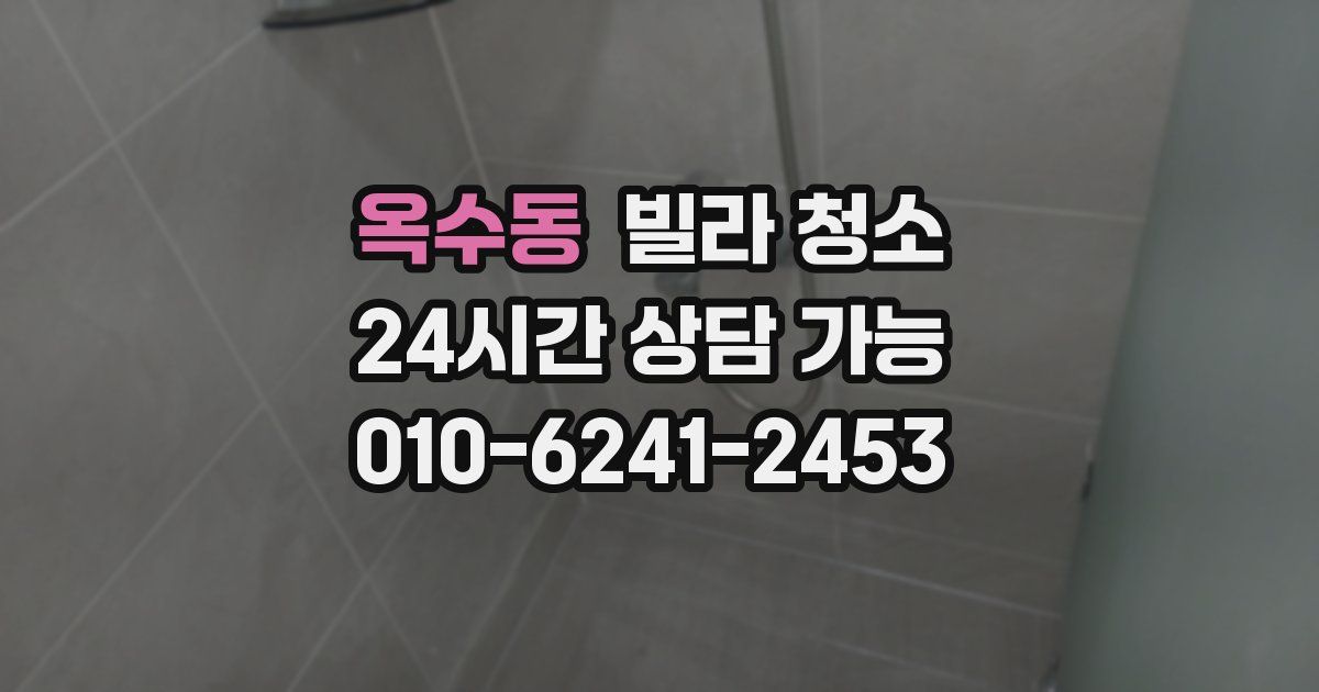 옥수동 빌라 청소