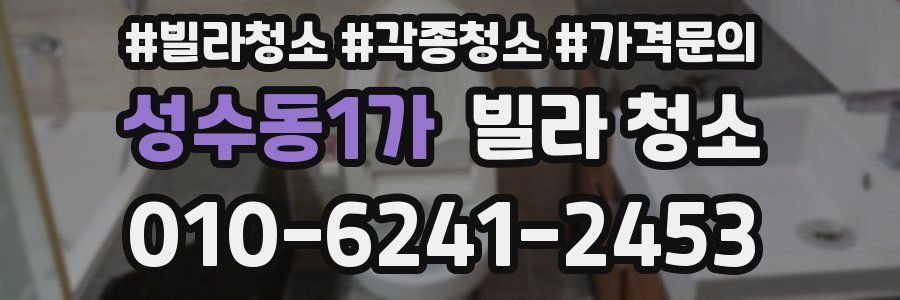 성수동1가 빌라 청소