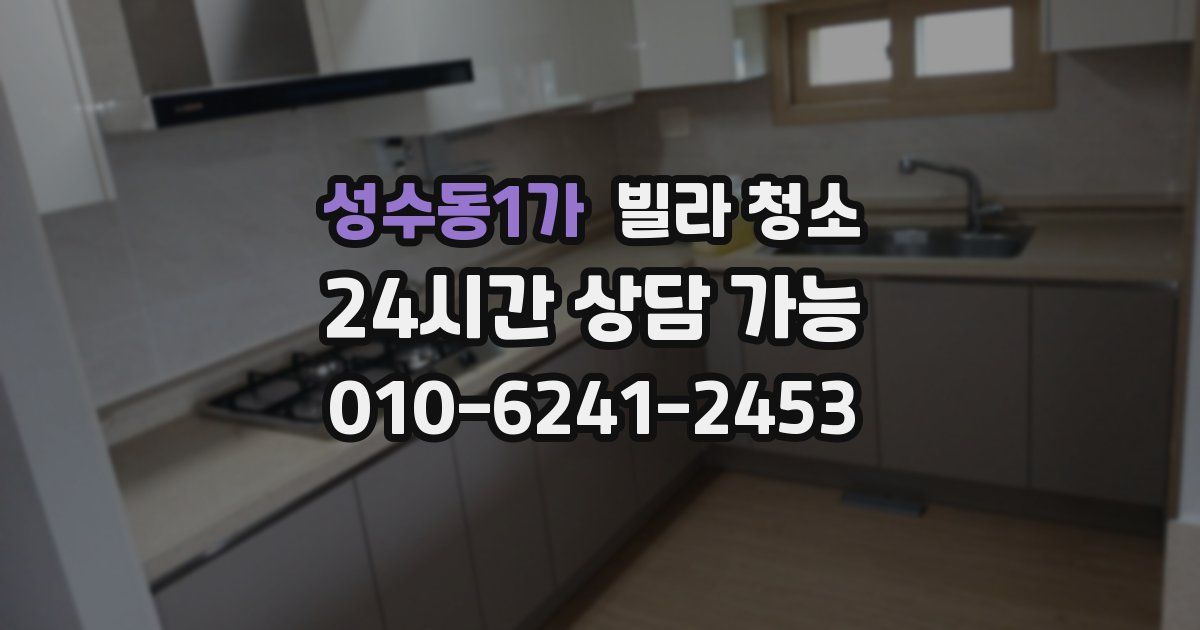 성수동1가 빌라 청소