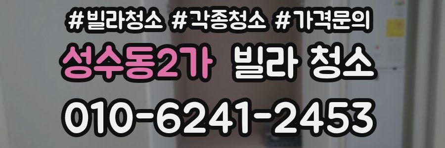 성수동2가 빌라 청소