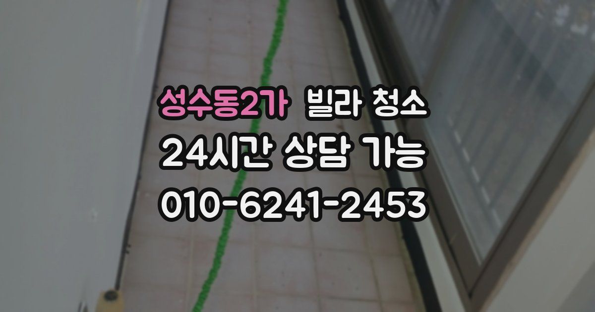 성수동2가 빌라 청소