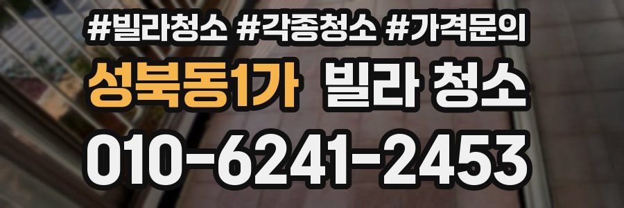 성북동1가 빌라 청소