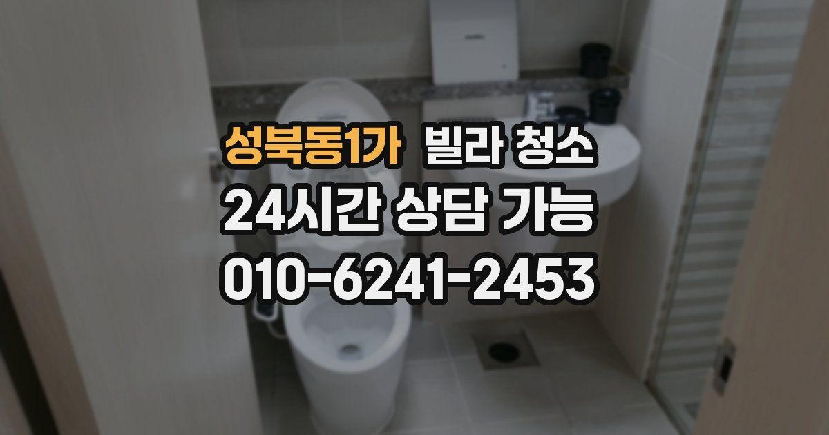 성북동1가 빌라 청소