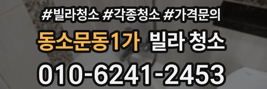 동소문동1가 빌라 청소