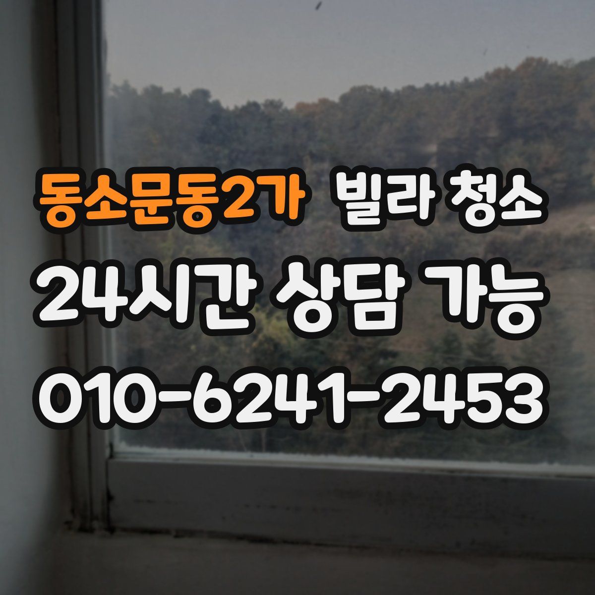 동소문동2가 빌라 청소