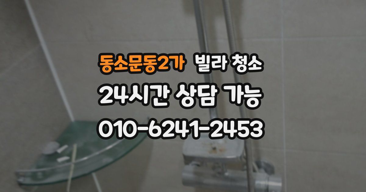 동소문동2가 빌라 청소