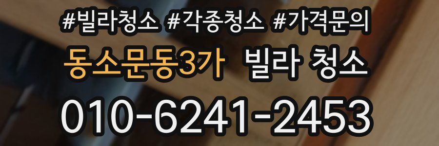 동소문동3가 빌라 청소