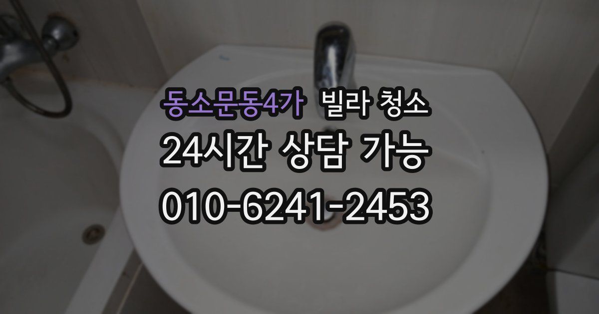 동소문동4가 빌라 청소