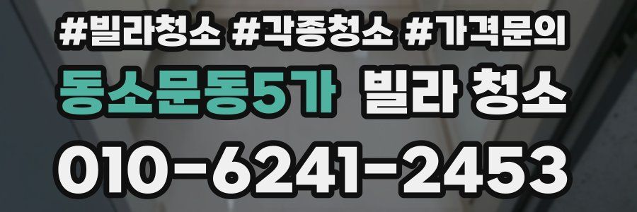 동소문동5가 빌라 청소