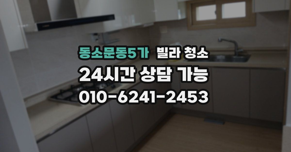 동소문동5가 빌라 청소
