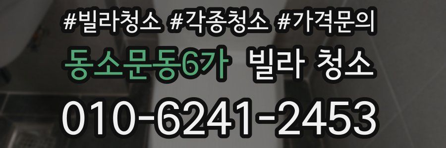동소문동6가 빌라 청소